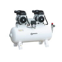 Компрессор REMEZA СБ4-100.OLD20CТМ