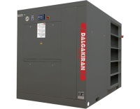 Компрессор винтовой Dalgakiran DVK180-10 ID (с осушителем)