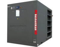 Компрессор винтовой Dalgakiran DVK180D-13 ID (с осушителем)